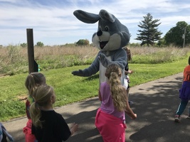 Bunny Hop Walk